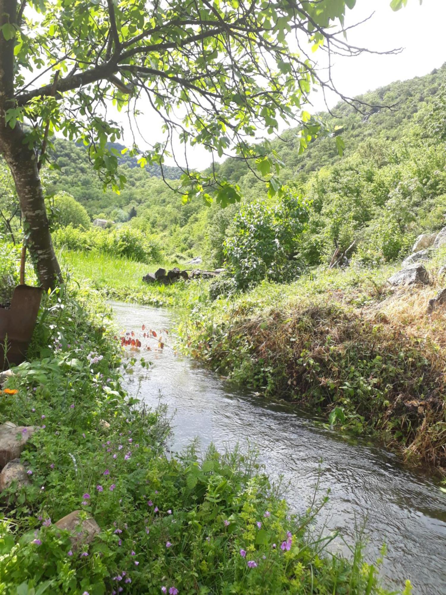 Camp Sunny Hills Hotell Virpazar Eksteriør bilde