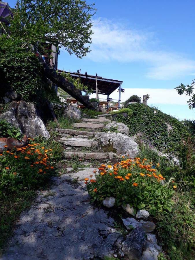 Camp Sunny Hills Hotell Virpazar Eksteriør bilde